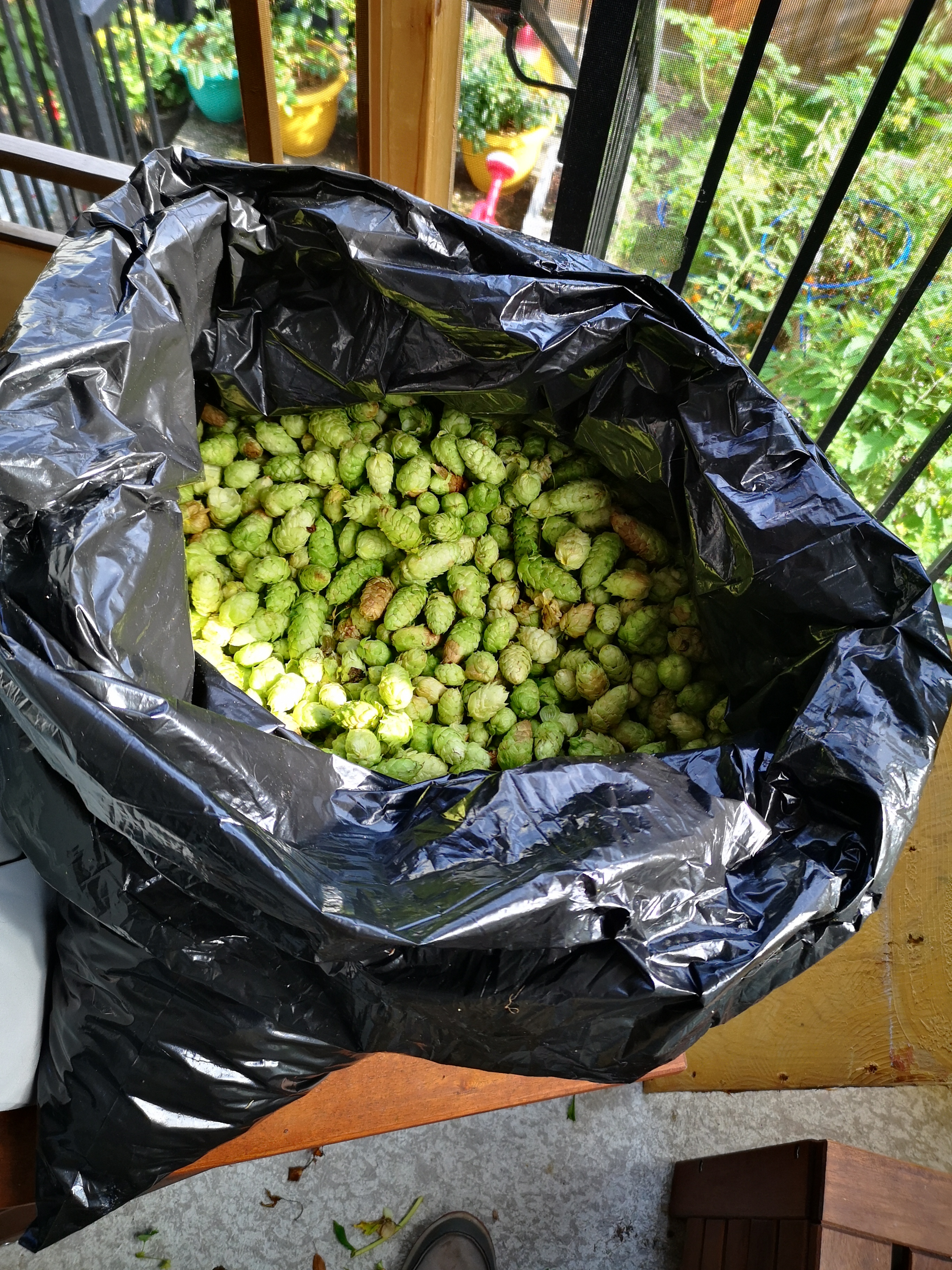 Bag-o-hops